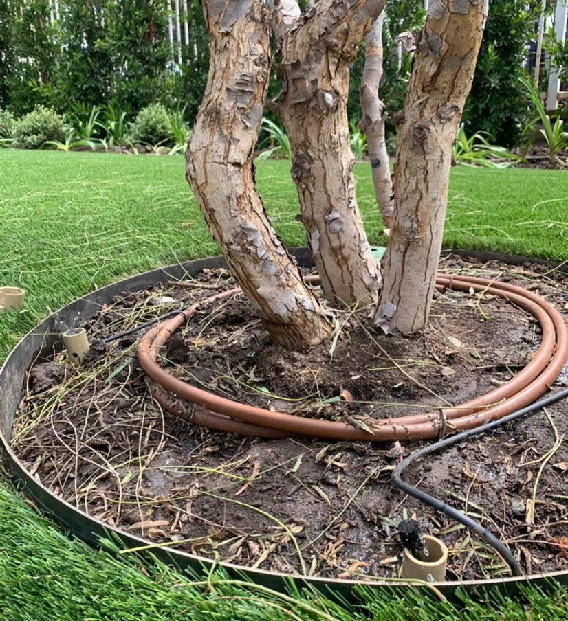 new exterior staircase