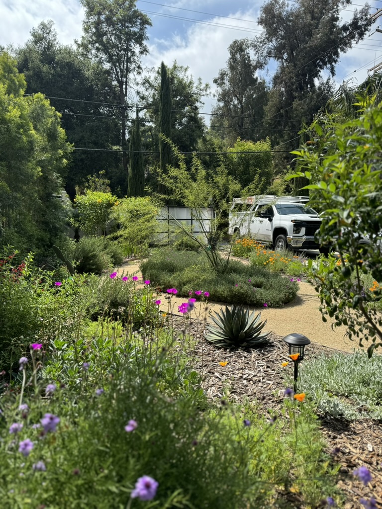 lush green yard with an assortment of trees, bushes and flowers
